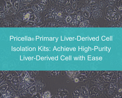 Pricella® Primary Liver-Derived Cell Isolation Kits: Achieve High-Purity Liver-Derived Cell with Ease - cover